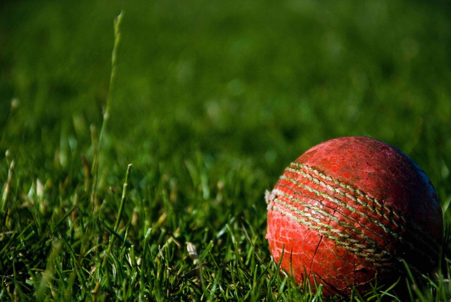 Online Cricket Betting, the most fun entertainment city in India